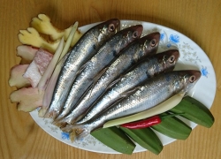 images/Foods/SeaFoods/Ca-moi.jpg