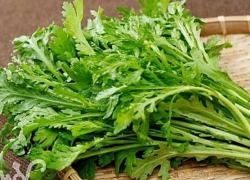 images/Foods/Vegetables/Cai-cuc.jpg
