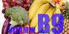 images/icons/Nutri_Icon/VitaminB9.png